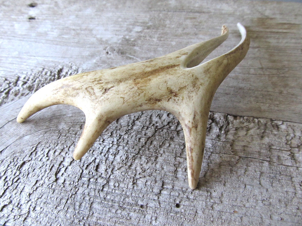 Indie Boho Deer Antler Hair Fork Comb Stick Unusual Statement Hair Piece