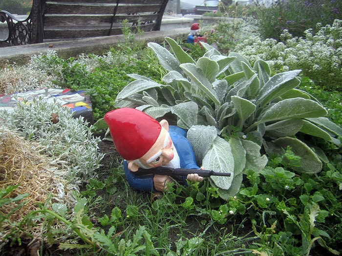Combat Garden Gnome (in prone position with M-16)