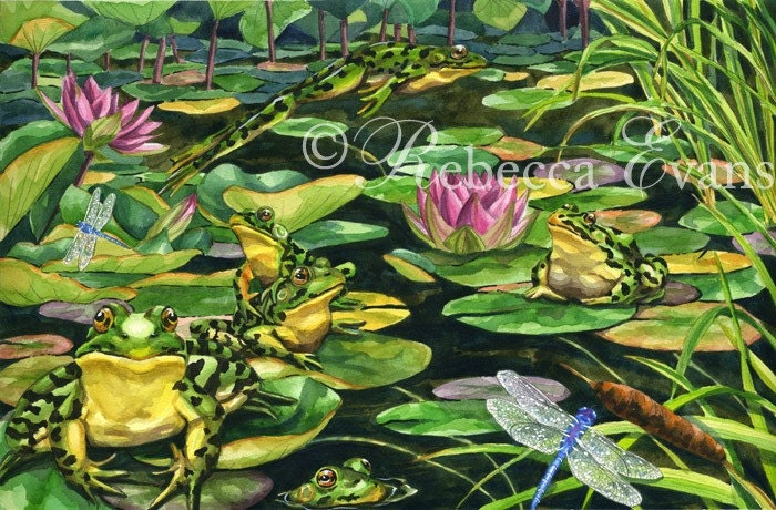 Illustration Art Print of Frogs and Dragonfly in Lily Pond 8.5x11