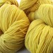 Oviraptor Yarn--100% SW Merino Lace Weight Yarn in Buttercup
