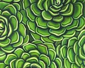 Original oil painting"So Succulent " 18"x24"