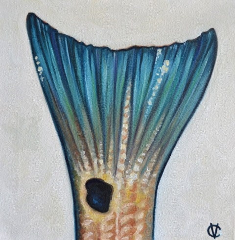 Redfish Tail Original Oil By Carin Vaughn 12x12"