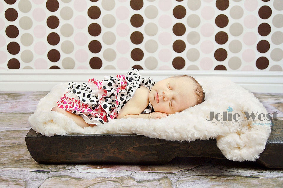 Photography Backdrop 00850