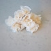 Peach Flower Cake Toppers (50)