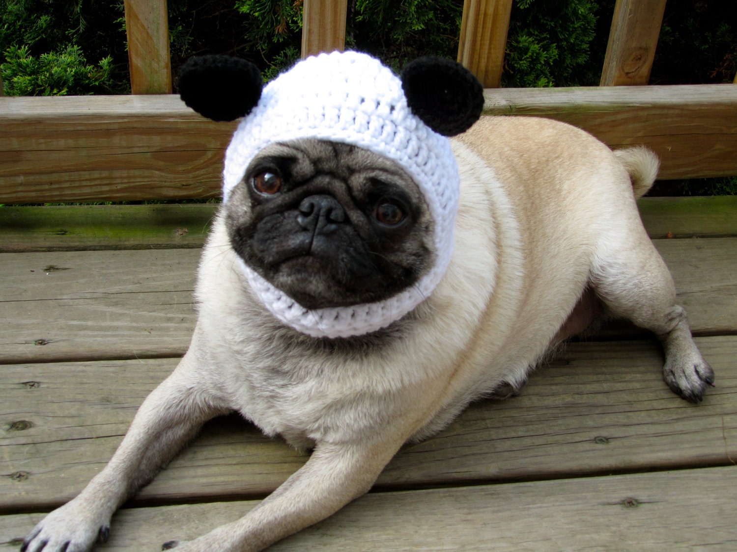 Dog Hat - Panda Bear Hat/ Made To Order