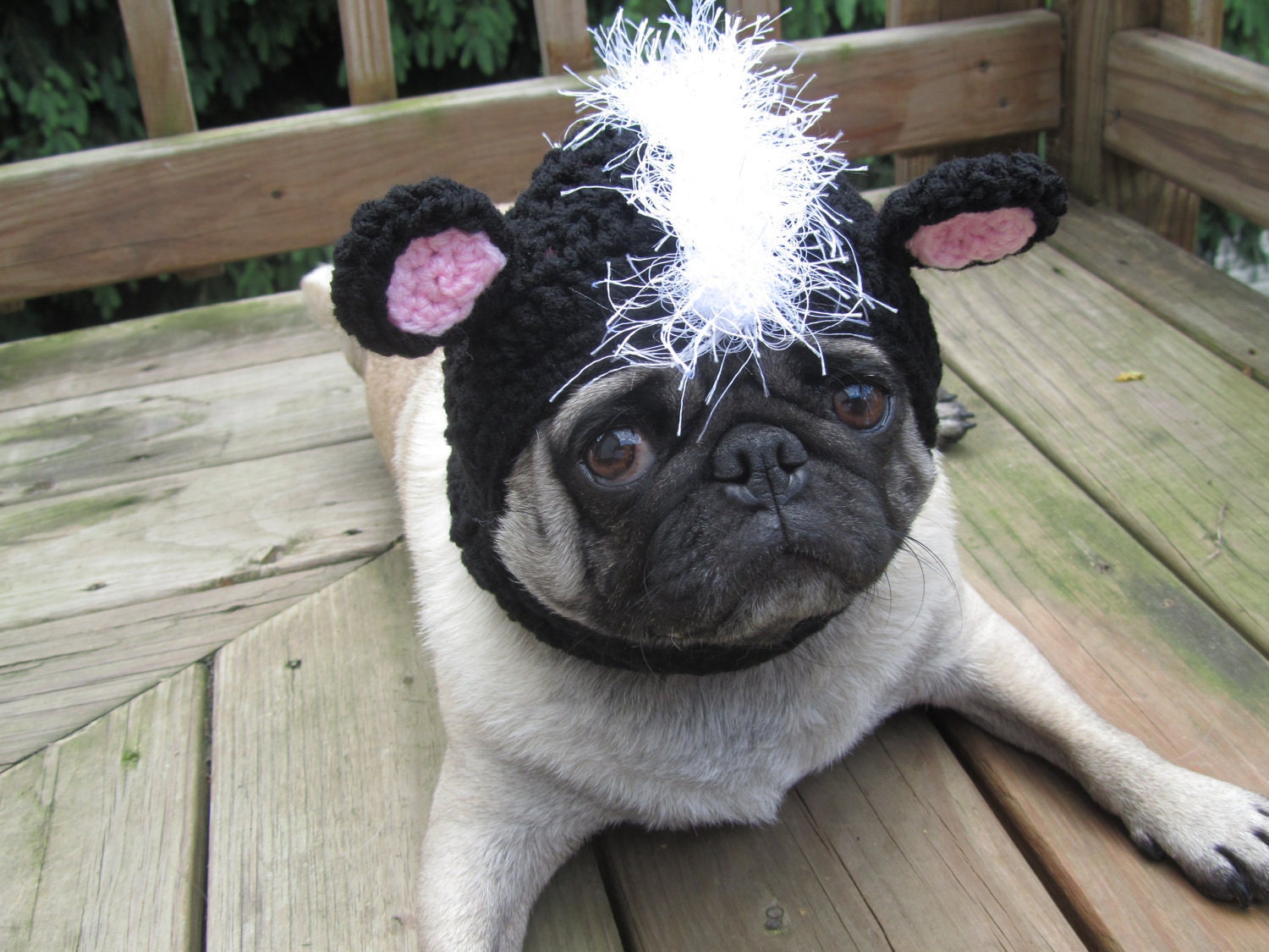 Dog Hat - L'il Stinker Skunk/Made To Order- As seen in moderndog Magazine
