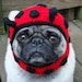 Dog Hat - Ladybug/ Made to Order