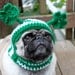 Dog Hat - Irish With Four Leaf Clovers /  Made to Order
