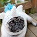 Magical Unicorn Dog Hat / Made to Order