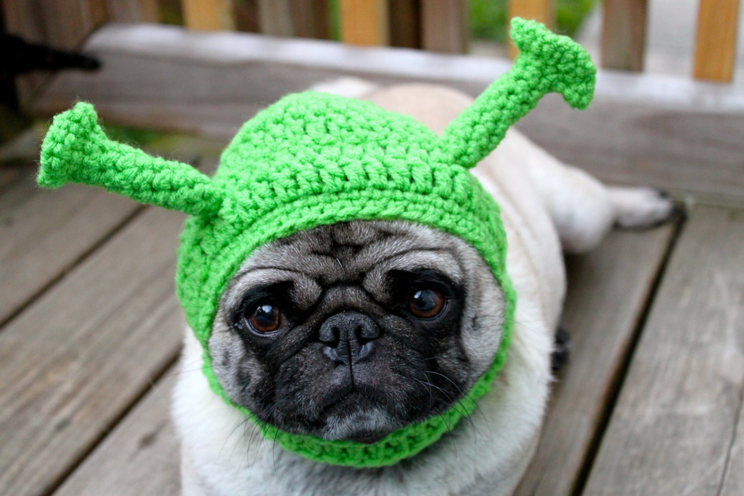 Dog Hat - Shrek/ Made to Order