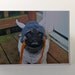 Viking- Greeting Card- 4 Cards
