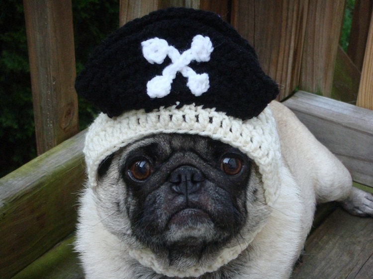Pirate Treasures Dog Hat / Made to Order