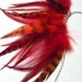 Red Feather Ear Cuff / Ear Wrap with chain - Fire Walker
