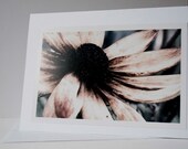 Shabby Chic  Blank Fine Art Photograph Greeting Card  Yellow Rustic Brown Flower Gift for Woman  White Romance Love