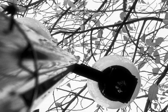 Black White Seattle City Travel Fine Art Photograph11x14 Home Decor Gift for Woman Urban Street Lamp