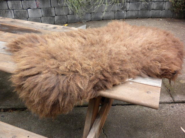 Sheepskin Pelt