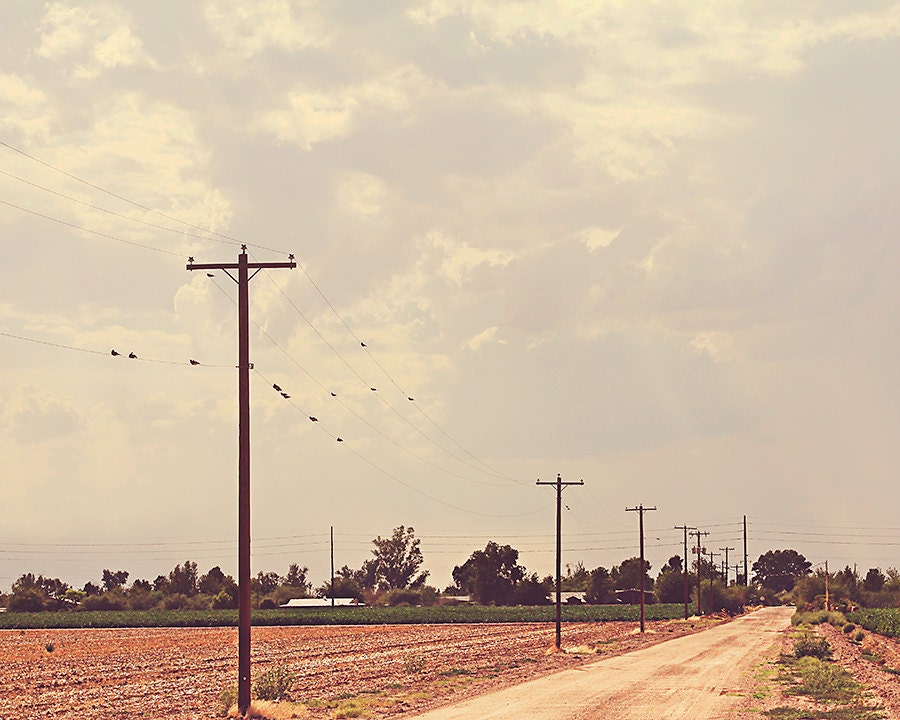 Long Road Home (8 x 10 Photograph)