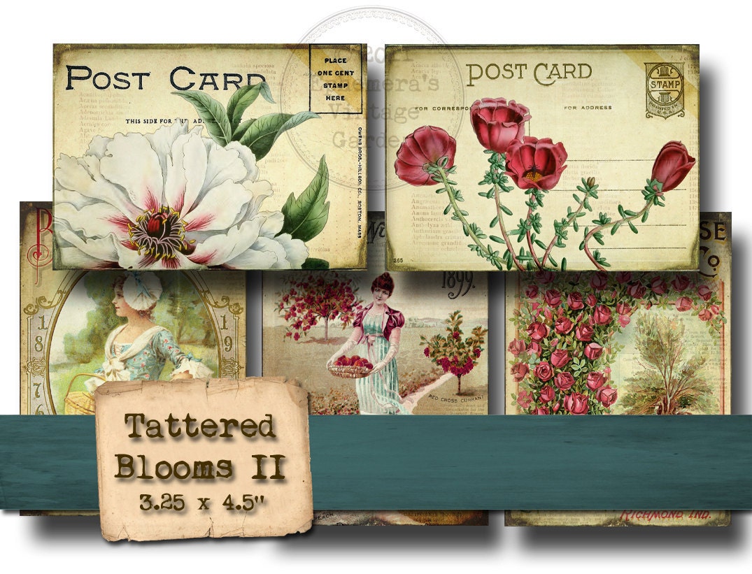 Tattered Blooms No.2 - Digital Collage Sheet