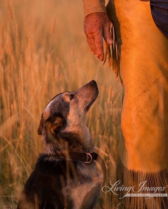 Buster and Dawg - Fine Art Dog Photograph
