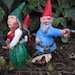 Zombie Gnomes: The Family Pack FREE USA SHIPPING