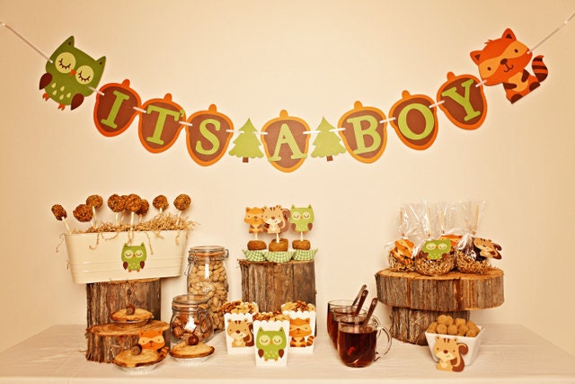 Forest Friends Baby Shower Package Il_570xn