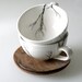 tree cups