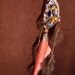 Dream Catcher- Moon Lit Night Devils Claw Dream Catcher