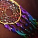 Custom Dream Catcher- Chakra Love- White Willow Dream Catcher with a Whole Rainbow of Feathers
