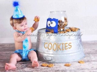 Baby Boy / Toddler Cake Smash Outfit Birthday Suit in Cookie Monster