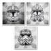 Limited Edition Evolution 3-Pack