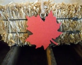 Gift Tags Table Numbers Scarlet Fall Leaf Drink Charms Wine Labels Leaves Thanksgiving Autumn Harvest Wedding Favors Party Decor