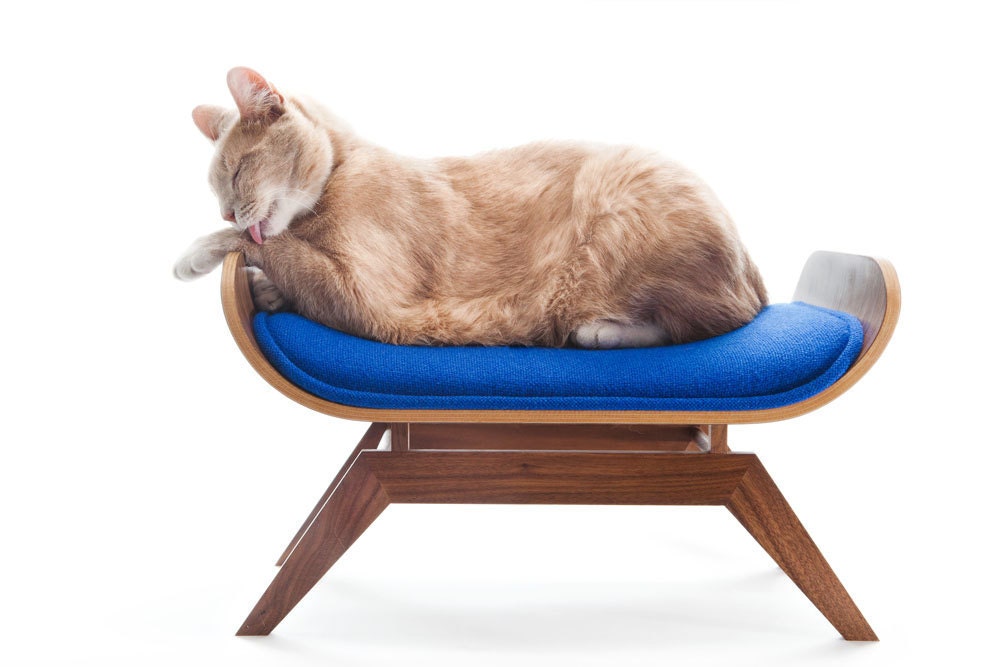 FLASH SALE The Canopy Lounge in Blue