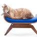 FLASH SALE The Canopy Lounge in Blue