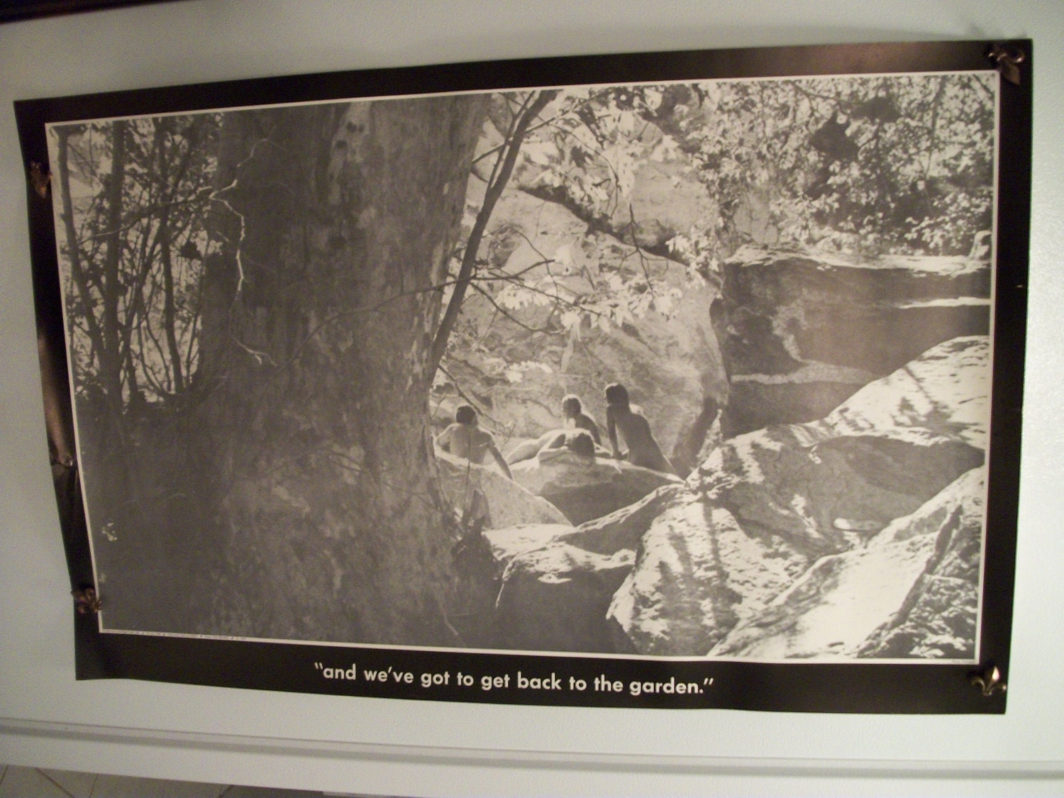 Original Vintage 1970 "And we've got to get back to the garden" Poster