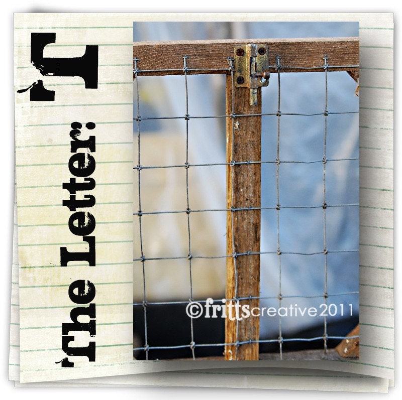 Letter T Alphabet Photography  COLOR 4x6 Photo Letter UNFRAMED