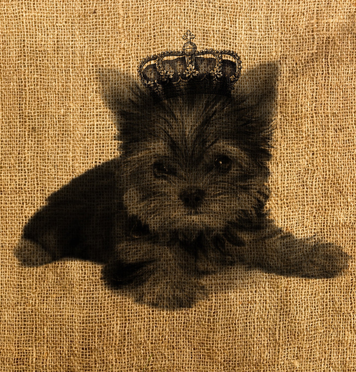 Yorkshire Puppy with the Crown Digital Image, Download and Print, Great For Image Transfer on Pillows, Tea Towels and more - Style. 160