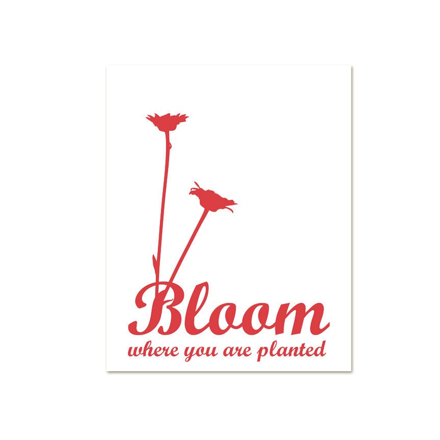 Bloom Where You are Planted - Pale Green Sage Modern Graphic Quote Spring Easter Digital Art Print