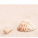 Beach Photo Set, over 40% off, ocean, shell, seagull, beach house decor, coastal living, pastel, soft, sea green, peach, pink, shore