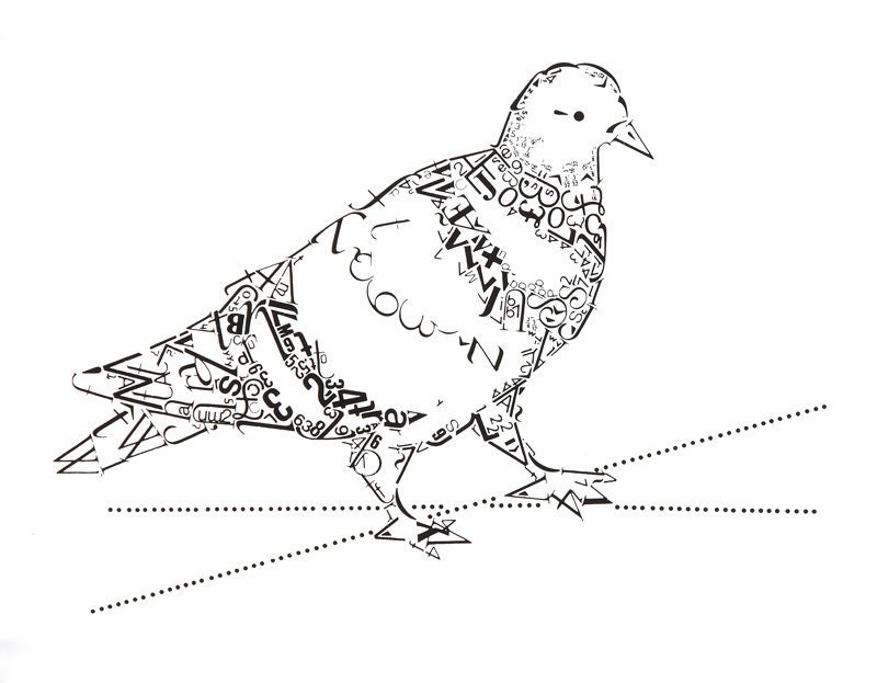 pigeon print