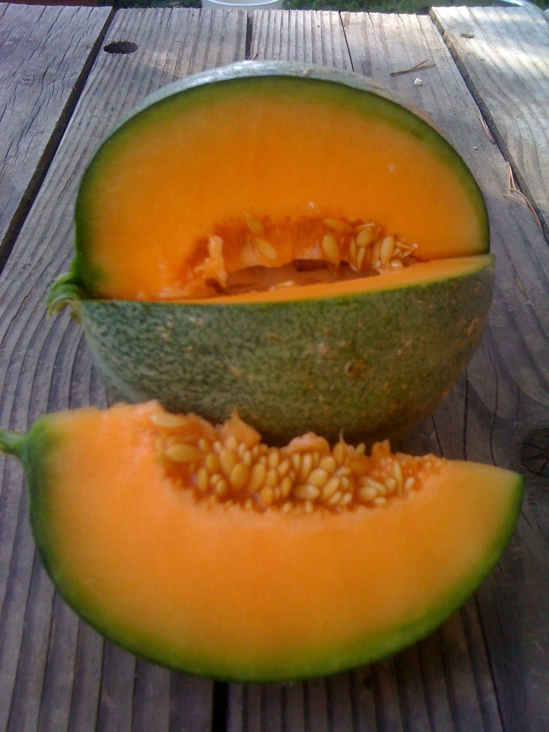 Organic Heirloom Petit Gris de Rennes Melon Seeds RARE gourmet