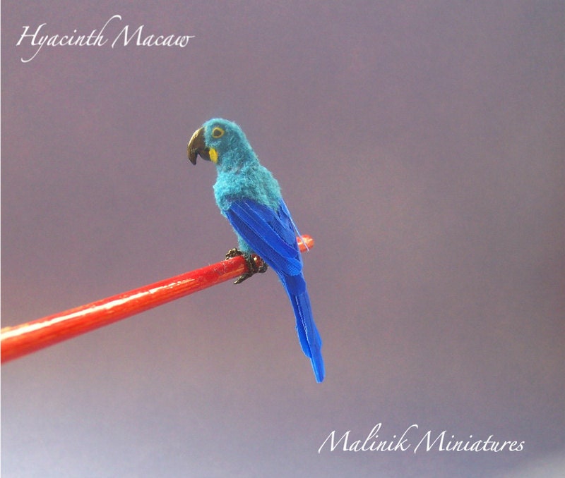 Hyacinth Macaw OOAK - Dollhouse Miniature Feathered Parrot