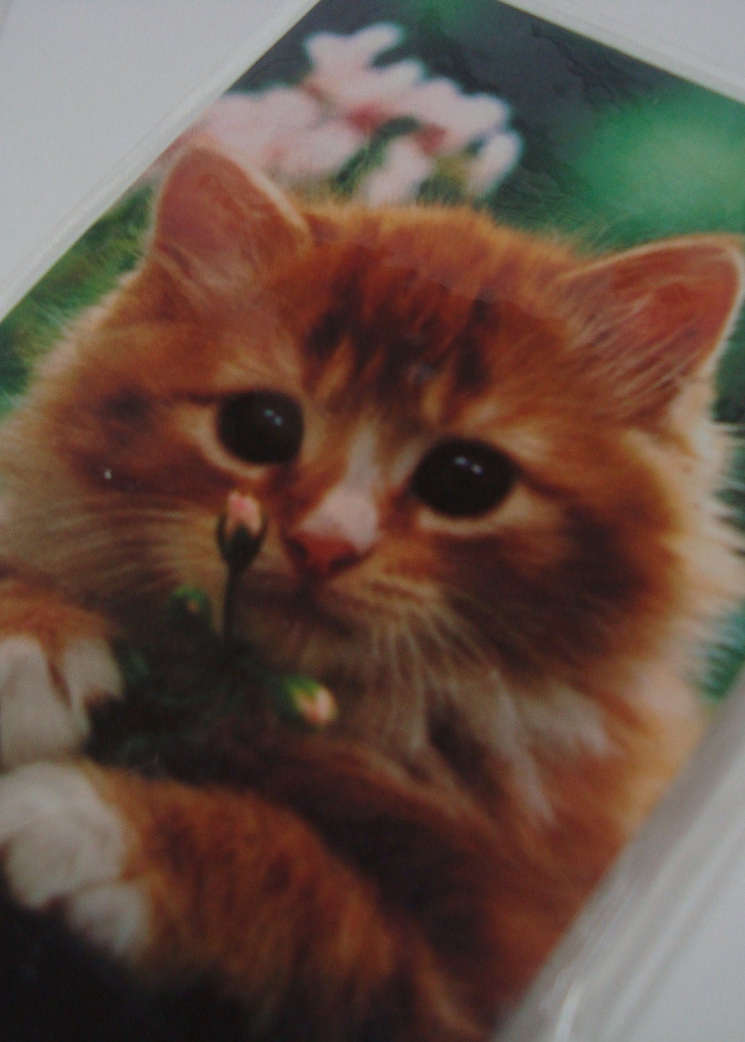 Two Kitten Magnets -  Cat - Orange and White - Recycled Vintage playing cards