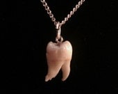 Snaggle Tooth Necklace