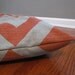 Orange/Denton Chevron Pet Bed Dog Duvet Cover-Large