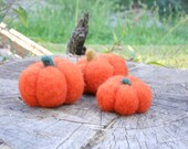 Needle Felted Pumpkin / Waldorf style Play Food / Miniature Autumn Natural Halloween Decoration