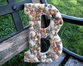 Custom Made Seashell Letter, Nursery Decor, Wall Decor, Beach Wedding Ideas, NEW ITEM
