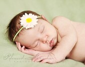 Felt Flower Headband- Wool Felt Pom Daisy Headband or Hair Clip - Newborn to Adult