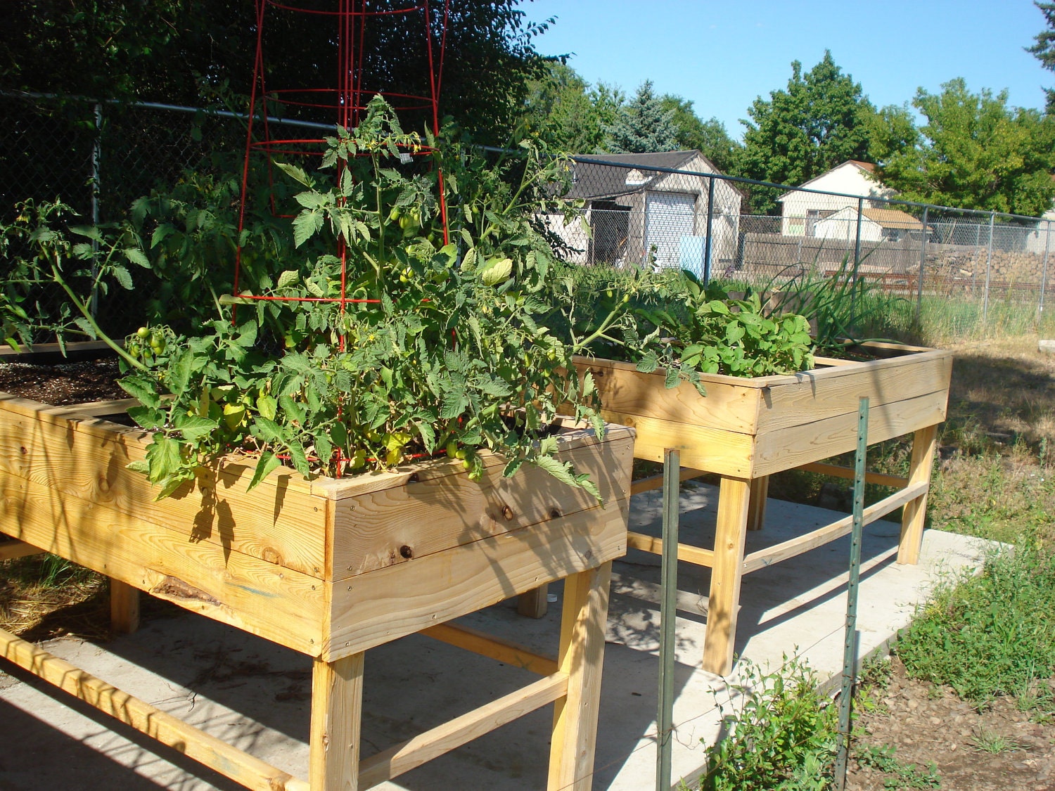 container garden raised bed