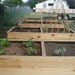 container garden raised bed
