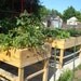 container garden raised bed